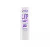 DELIA LIP CARE ЗАЩИТНЫЙ БАЛЬЗАМ ДЛЯ ГУБ BLUEBERRY 4,9Г