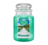 COUNTRY CANDLE АРОМАТИЧНА СВІЧКА LARGE JAR CITRUS & SEAGRASS 680Г