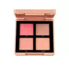 TOPFACE MAESTRO ACADEMY BLUSH BOUQUET ПАЛЕТКА ДЛЯ МАКИЯЖА 02 FIESTA 8Г