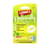 CARMEX NATURALLY УВЛАЖНЯЮЩИЙ БАЛЬЗАМ ДЛЯ ГУБ ГРУША 4,25Г