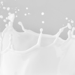 morfose milk therapy