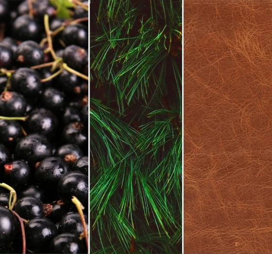 Нажмите на картинку, чтобы ее увеличить YANKEE CANDLE SIGNATURE АРОМАТИЧЕСКАЯ СВЕЧА SILVER SAGE & PINE 567Г