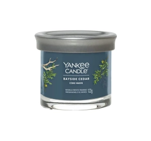 Yankee Candle Signature ароматична свічка Bayside Cedar 122г