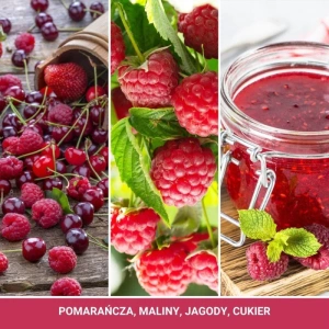 YANKEE CANDLE CAR JAR АРОМАТ ДЛЯ АВТОМОБІЛЯ RED RASPBERRY