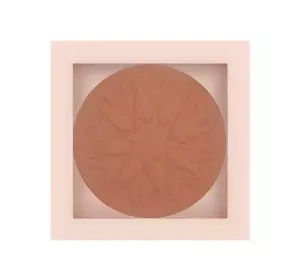 PASTEL SHOW YOUR PURITY ПУДРА ДЛЯ ЛИЦА 104 WARM TAN 9,3Г