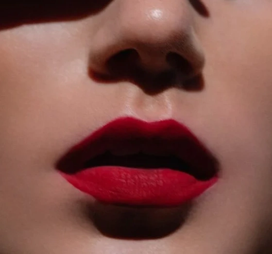 Hedonista Mattemorphosis матовая помада для губ Devil Wears Red 4,5г