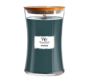 WoodWick Jar Candle ароматична свічка Antiquarium 610г 