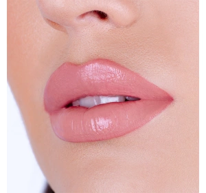 PIERRE RENE LIP KIT НАБІР ДЛЯ МАКІЯЖУ ГУБ 06 LIP NUDE FUSION