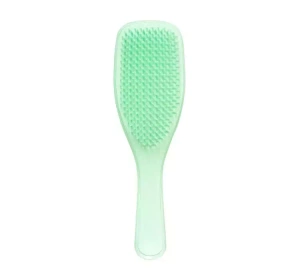 TANGLE TEEZER WET DETANGLING FINE & FRAGILE ЩІТКА ДЛЯ ВОЛОССЯ STANDARD NEON MINT