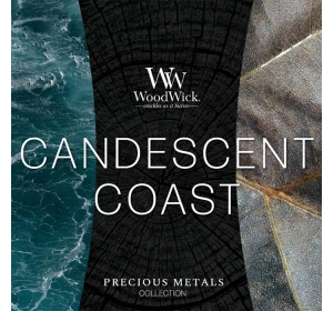 Woodwick Medium Jar Candle ароматична свічка Candescent Coast 275 г