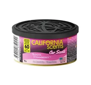 CALIFORNIA SCENTS АРОМАТ ДЛЯ АВТОМОБІЛЯ STRAWBERRY