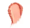 PAESE MINERALS МИНЕРАЛЬНЫЕ РУМЯНА 300W PEACH 6Г