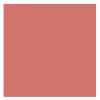 GOLDEN ROSE CREAMY BLUSH STICK РУМЯНА-СТИК 110