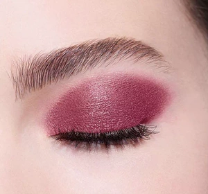 BOURJOIS LITTLE ROUND POT ТІНІ ДЛЯ ПОВІК 14 BERRY BERRY WELL 1,2Г