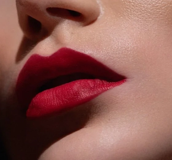 Hedonista Mattemorphosis матова помада для губ Stop! 4,5г
