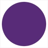GOLDEN ROSE FLASH LINER ЖИДКАЯ ПОДВОДКА ДЛЯ ГЛАЗ 107 PLUM PURPLE 3,5МЛ