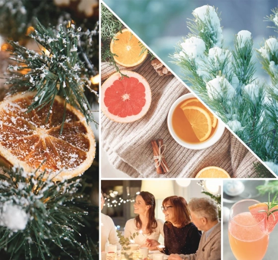 Нажмите на картинку, чтобы ее увеличить YANKEE CANDLE SIGNATURE АРОМАТИЧЕСКАЯ СВЕЧА ТУМБЛЕР WHITE SPRUCE & GRAPEFRUIT 567Г