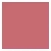 GOLDEN ROSE CREAMY BLUSH STICK РУМЯНА-СТИК 109