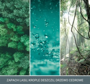 Yankee Candle Signature ароматична свічка Bayside Cedar 122г