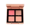 TOPFACE MAESTRO ACADEMY BLUSH BOUQUET ПАЛЕТКА ДЛЯ МАКІЯЖУ 02 FIESTA 8Г