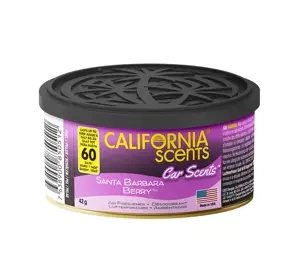 CALIFORNIA SCENTS АРОМАТ ДЛЯ АВТОМОБІЛЯ SANTA BARBARA BERRY