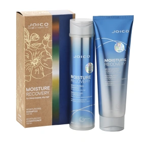 Joico Moisture Recovery набір для догляду за сухим волоссям: шампунь 300 мл + кондиціонер 250 мл