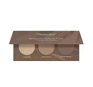 PIERRE RENE BROW PALETTE ПАЛЕТКА ТІНЕЙ ДЛЯ БРІВ DARK BROWN 3x1,3Г