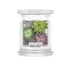 KRINGLE CANDLE АРОМАТИЧНА СВІЧКА З ДВОМА ГНОТАМИ MEDIUM SUCCULENTS 411Г
