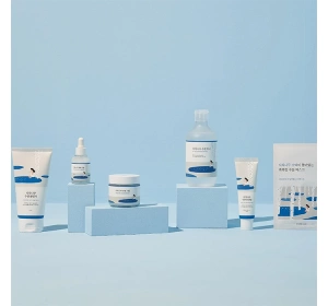 Round LAB Birch Juice увлажняющий защитный крем SPF50+ 50 мл