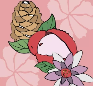 MEXX BLACK WOMAN ТУАЛЕТНА ВОДА 15МЛ