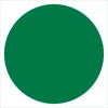 GOLDEN ROSE FLASH LINER ЖИДКАЯ ПОДВОДКА ДЛЯ ГЛАЗ 102 FOREST GREEN 3,5МЛ