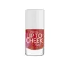 PASTEL LIP TO CHEEK РІДКА ПОМАДА І РУМ'ЯНА LOLITA 9,6МЛ