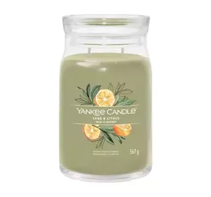 YANKEE CANDLE SIGNATURE АРОМАТИЧНА СВІЧКА SAGE & CITRUS 567Г