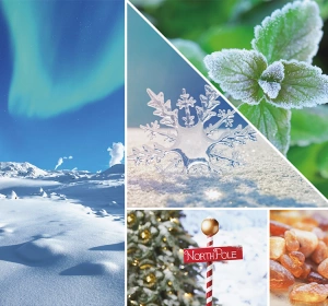 Yankee Candle Signature ароматична свічка North Pole Hideaway 567г