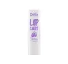 DELIA LIP CARE ЗАЩИТНЫЙ БАЛЬЗАМ ДЛЯ ГУБ BLUEBERRY 4,9Г