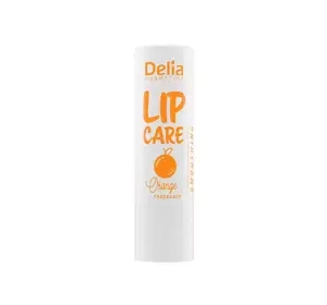 DELIA LIP CARE ЗАХИСНИЙ БАЛЬЗАМ ДЛЯ ГУБ ORANGE 4,9Г