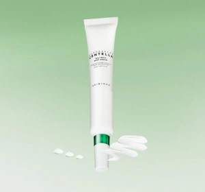 SKIN1004  Madagascar Centella Tea-Trica Spot Cream точковий крем для обличчя проти недосконалостей 20 мл