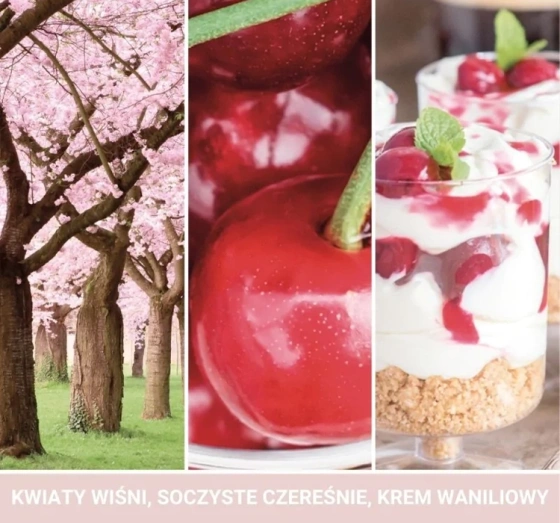Yankee Candle Wax Melt ароматичний віск Pink Cherry and Vanilla 22г