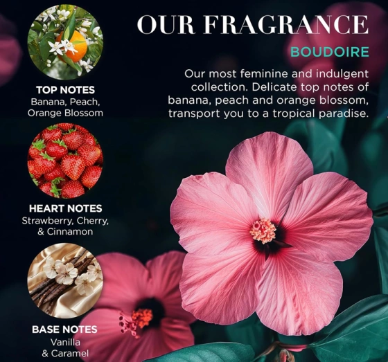 Baylis & Harding Boudoire подарочный набор: крем для душа 300 мл + пена для ванны 300 мл + бальзам для тела 130 мл + крем для душа 130 мл + мыло 100 г + соль для ванны 100 г + губка