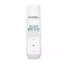 GOLDWELL SCALP SPECIALIST ANTI-DANDRUFF ШАМПУНЬ ПРОТИ ЛУПИ 250МЛ