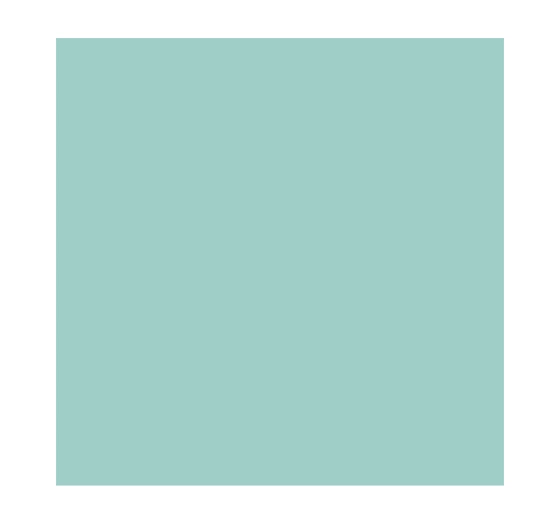 SALLY HANSEN INSTA-DRI ЛАК ДЛЯ НОГТЕЙ 510 GAIN MO-MINT-UM 9,17МЛ