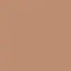 PAESE EXPERT MATT МАТИРУЮЩЕЕ ТОНАЛЬНОЕ СРЕДСТВО 501C TRUE BEIGE 30МЛ