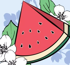 MEXX FRESH SPLASH FOR HER ТУАЛЕТНА ВОДА 50МЛ