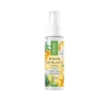 LIRENE POWER OF PLANTS MANGO ГІДРОЛАТ МАНГО 100МЛ