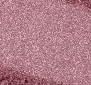 Bell Pumpkin Fresh Blush рум'яна для обличчя з олією гарбузового насіння 02 Fallen Petal 3,7 г