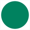 EVELINE VARIETE ЦВЕТНАЯ ПОДВОДКА ДЛЯ ГЛАЗ 06 PEACOCK GREEN 2,8МЛ
