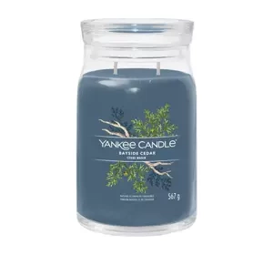 YANKEE CANDLE SIGNATURE АРОМАТИЧЕСКАЯ СВЕЧА BAYSIDE CEDAR 567Г