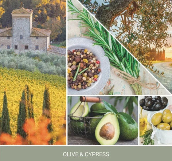 Yankee Candle Signature Hello, Italy! ароматическая свеча Olive & Cypress 567г