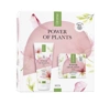 LIRENE POWER OF PLANTS ROSE ПОДАРОЧНЫЙ НАБОР КОСМЕТИКИ КРЕМ ДЛЯ ЛИЦА + БАЛЬЗАМ ДЛЯ ТЕЛА