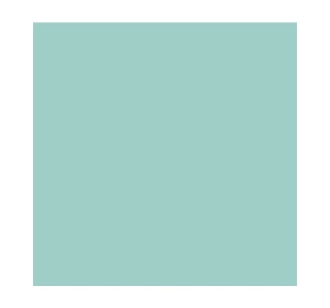 SALLY HANSEN INSTA-DRI ЛАК ДЛЯ НОГТЕЙ 510 GAIN MO-MINT-UM 9,17МЛ